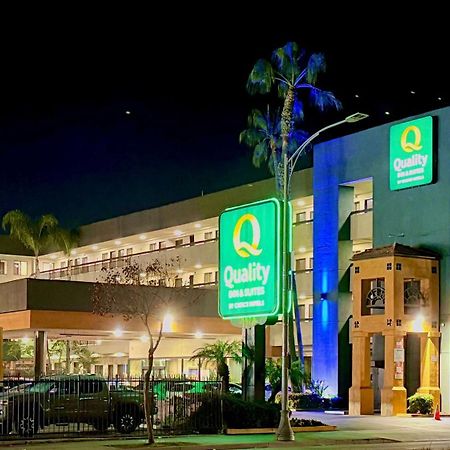 Quality Inn&Suites Los Angeles Airport - LAX Inglewood Extérieur photo